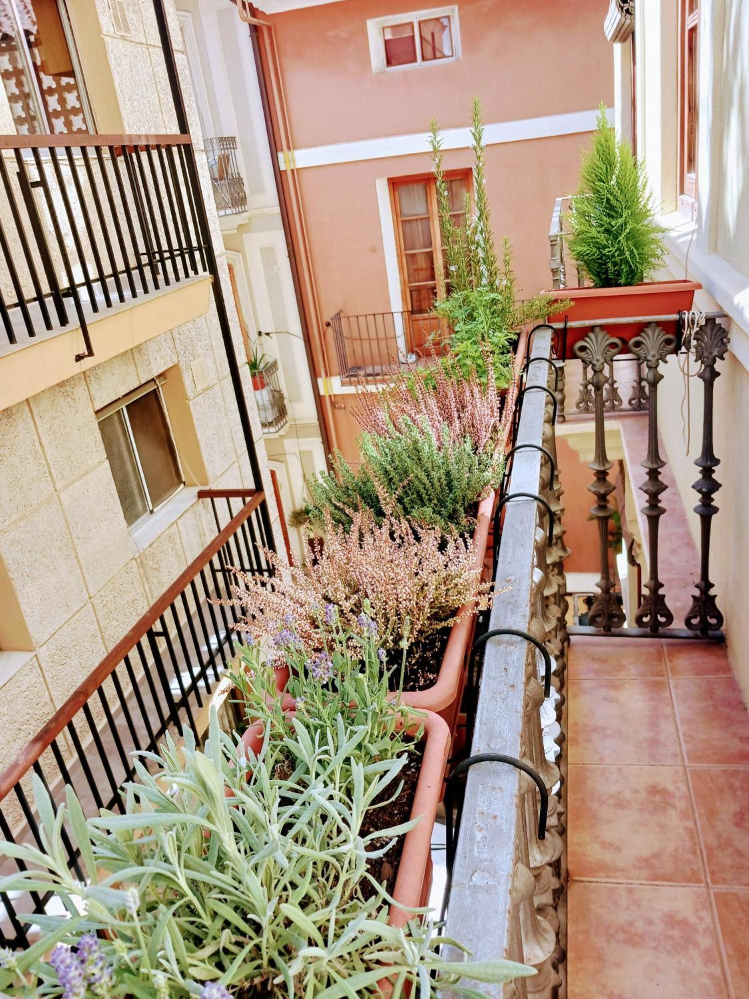 Apartment Cozy Flat In Old Town *